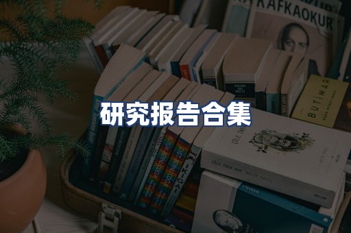 研究报告合集
